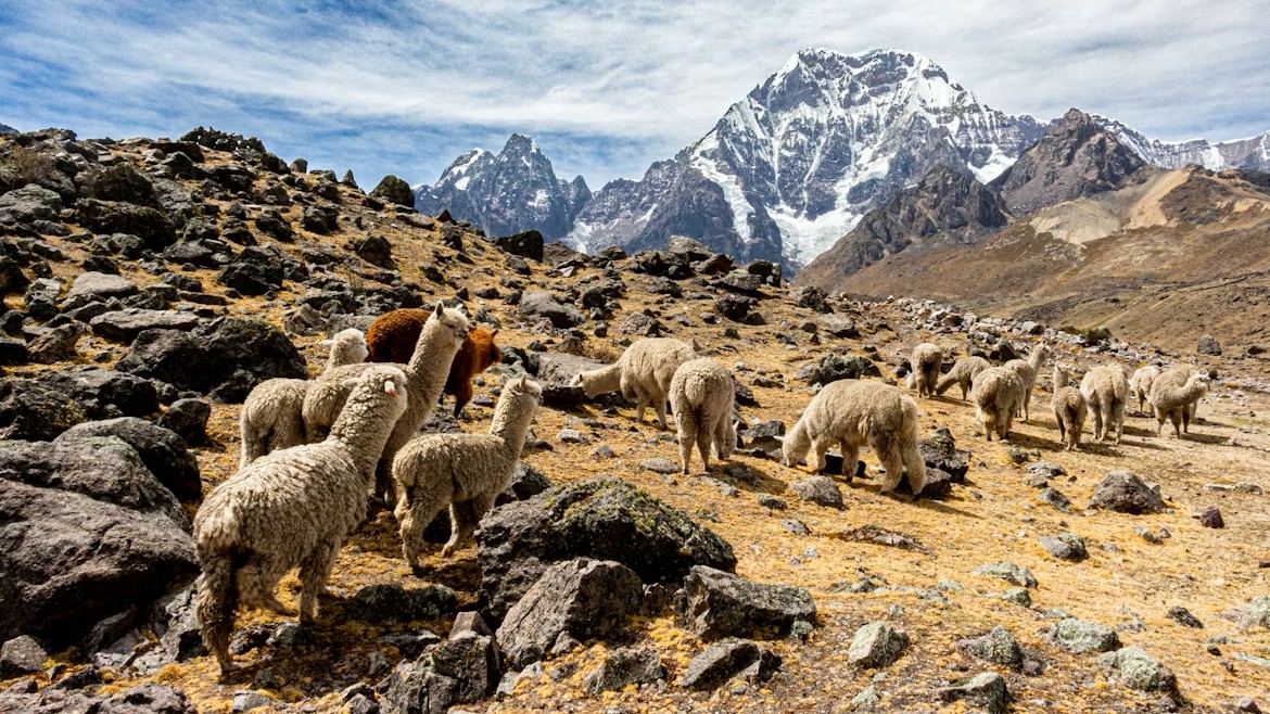 Perú y Bolivia