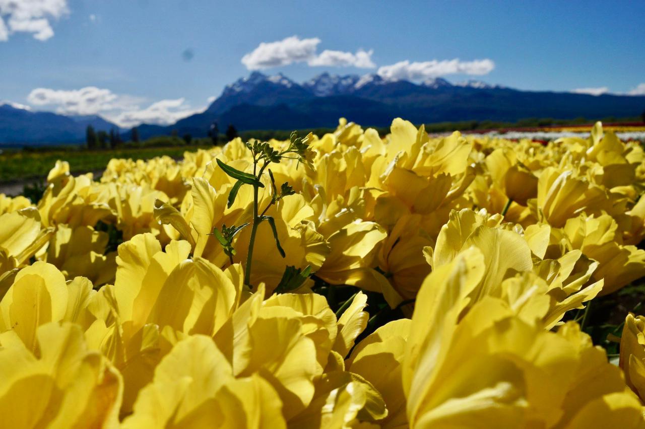 Simplemente Esquel