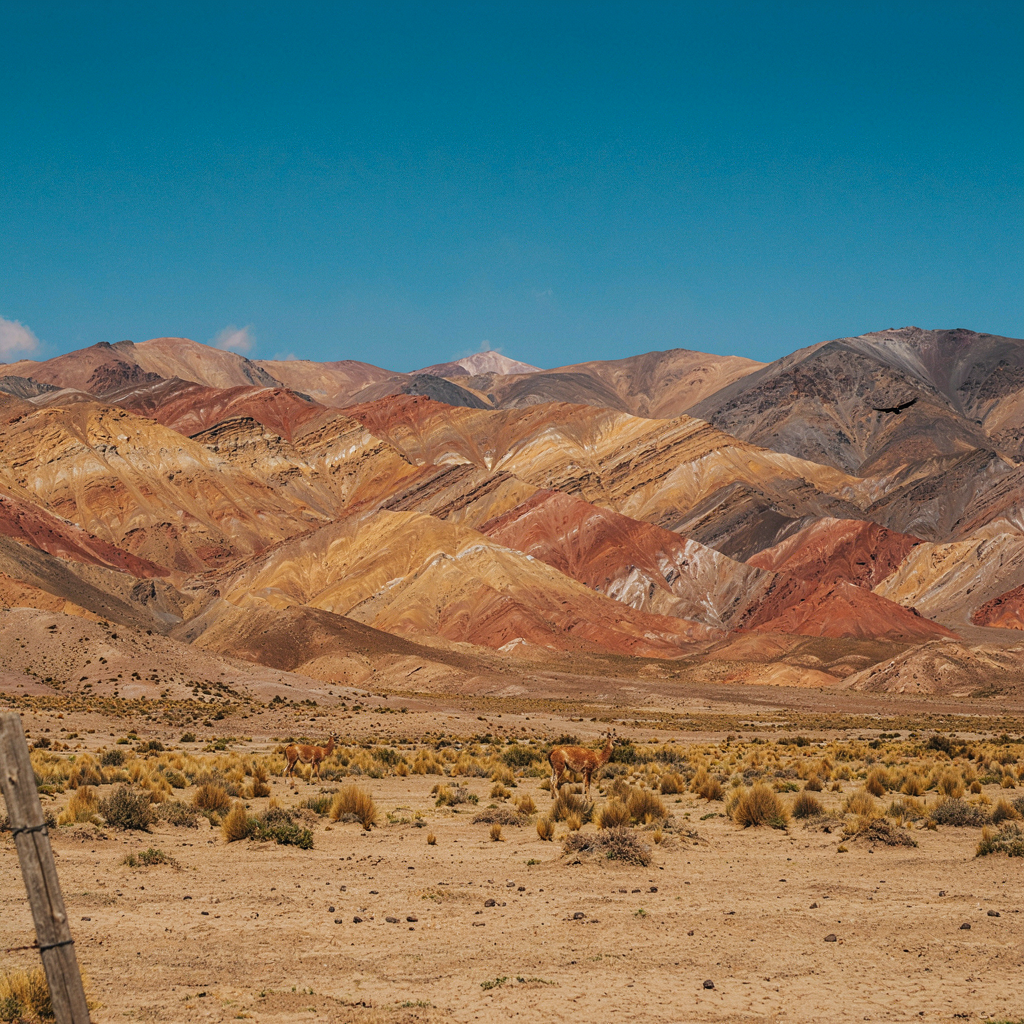 TREN SOLAR DESDE JUJUY